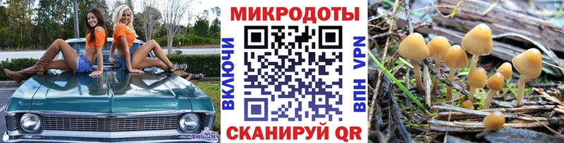 нарко площадка Telegram  что такое   Кыштым  Псилоцибиновые грибы Cubensis 